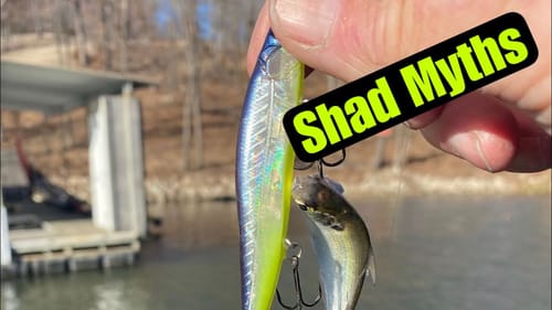 This Is One Of Those Videos Mediocre Anglers Ignore And Great Anglers Watch
