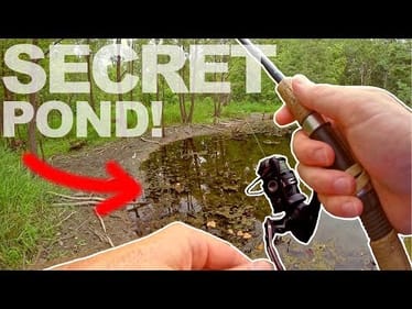I Found a TINY POND in the WOODS!?