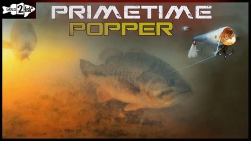 4 Reasons Why Poppers Excel for Late Fall Bass