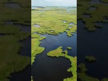 Fishing Challenge! 😎