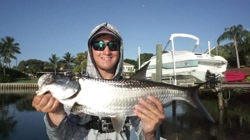 Tarpon Time