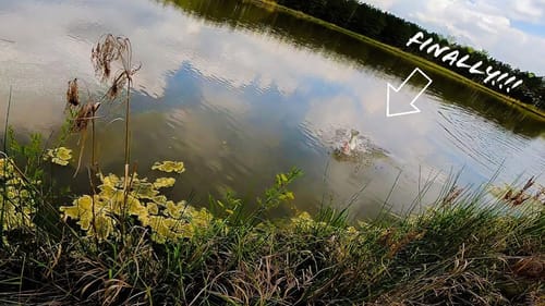 This TOPWATER Lure Catches GIANT Pond Bass!! || Spring Pond Bass Fishing