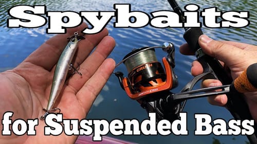 Spybaits for Deep Summer Largemouth