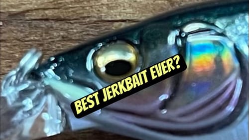 This New Megabass Jerkbait Is Already My Favorite