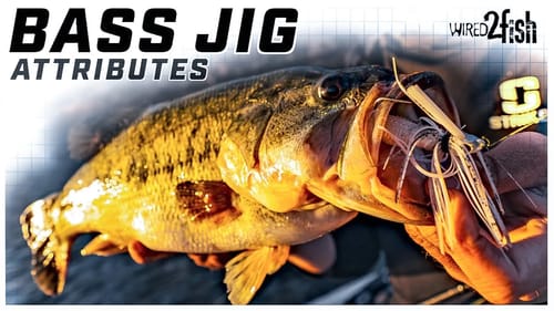 How to Choose Bass Jigs | Welcher’s Design Criteria