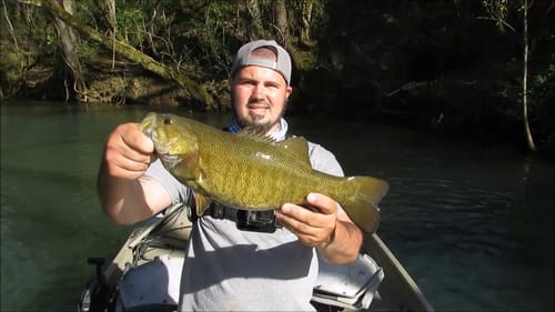 FINDING BIG BASS PUSHED UP IN CREEKS