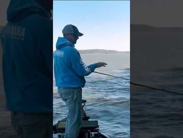 Follow the CONTOURS (Early Fall Spinnerbait Fishing)