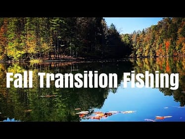 Fall Transition Fishing in Super Clear Lake -- It's Tough.