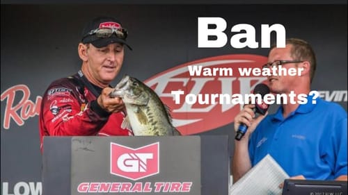 Should Warm Weather Bass Tournaments Be Stopped?