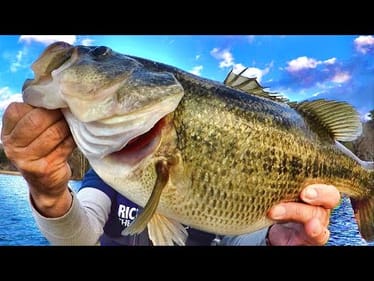 This Bait Catches Monsters! Easy Way To Catch Trophy Bass