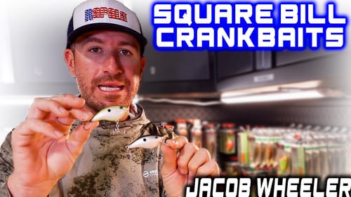 THE BEST Summertime Square Bill COLORS for Bass