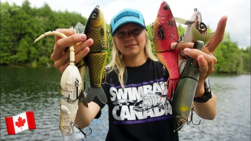 Big Swimbait Fishing for Bass in Ontario!