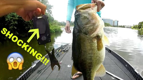 Catching the BIGGEST BASS EVER on Film!!! (New PB)