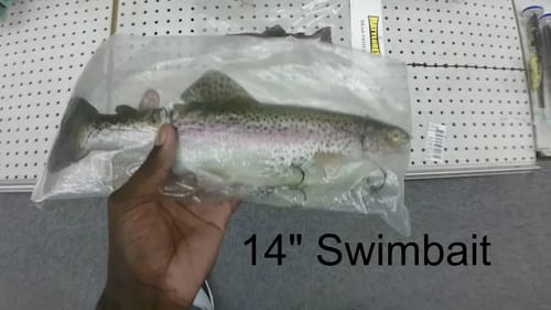 Giant Swimbaits And The BigBassDreams Priemere - Cali Vlog #2