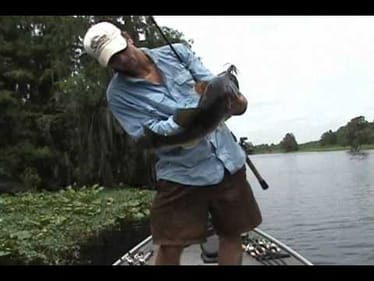 bass, 6-5 7lbs bb cricket 1.5oz punch  001.wmv
