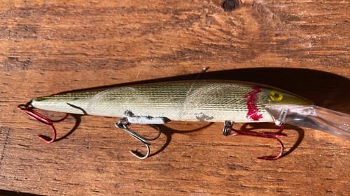 This 43 Year Old Jerkbait Changed The Sport Of Bass Fishing