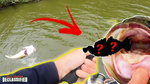 Don’t MISS OUT On These New Fishing Techniques!