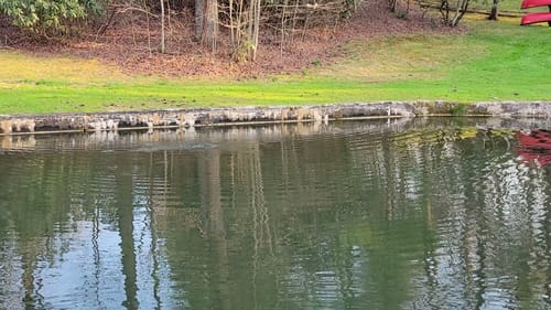 Swimbait Review: Rob's Gill Glide