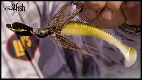 Proven Bladed Jig Bass Fishing Tips Around Shallow Grass