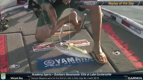 Day 3 morning fish catch highlights from Lake Guntersville