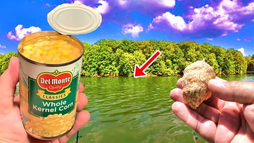 How To Catch TONS Of Carp The Simple and Easy Way!