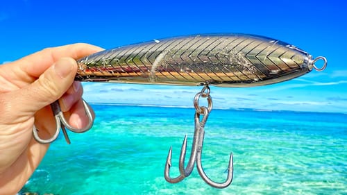 Huge fish live here!