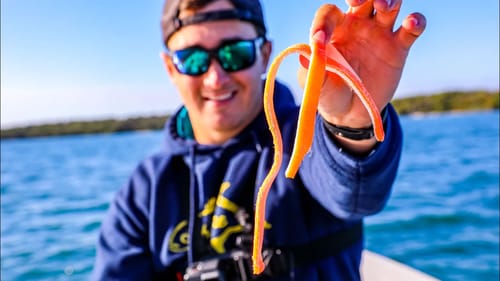 This Ridiculous "BAIT" Catches A TON of FISH