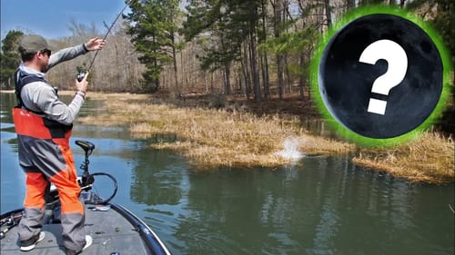 New MOON Affect VS Spring Bass Fishing