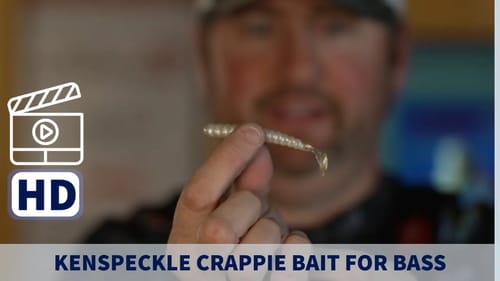 Remarkable Crappie Fishing Bait Catches BASS