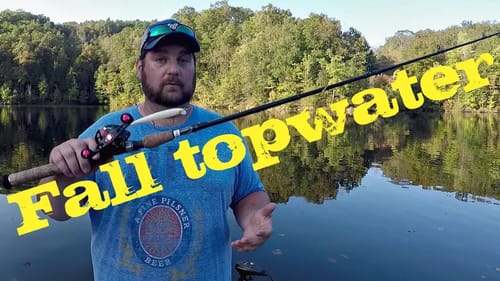 Fall Topwater Baits