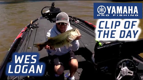 Yamaha Clip of the Day: Logan's Neely game changer to take the lead
