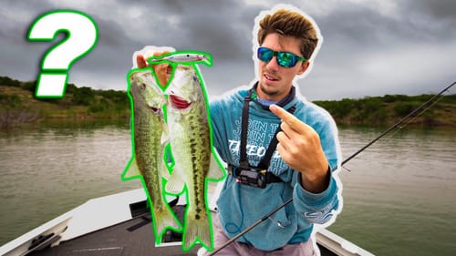 Are these FISH good to EAT!? (Spotted BASS Catch N' Cook)