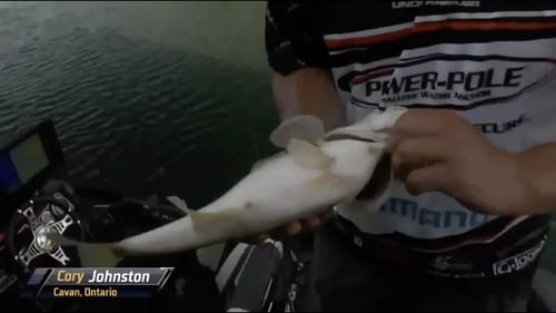 Cory Johnston's big spotted bass at Tenkiller