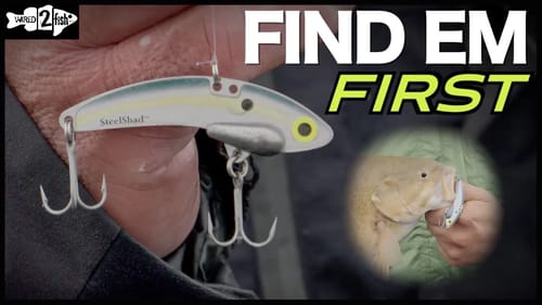 Catch LATE WINTER and EARLY SPRING Bass Fishing with BLADE BAITS