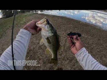 SAC PIG X JELLIFISHING: BTS BASS FISHING AND FILMING #bassfishing