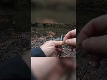 Catching This Colorful Fish Was So Hard! #shorts