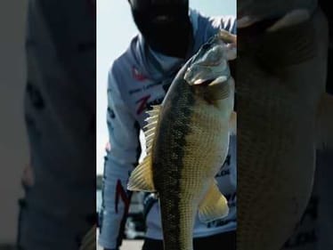 Upgrading with finesse baits - Tournament bass fishing