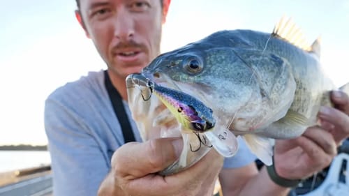 Bass Fishing with NEW GOOGAN SQUAD MINI RECON Crankbait