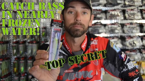 Catch Big Bass in Cold Winter Water
