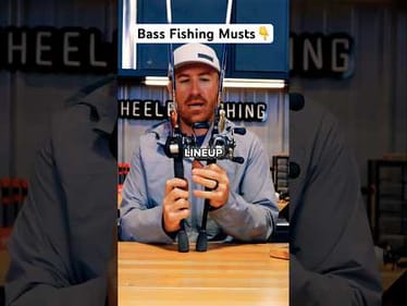 Catch More Bass in February 2025! (Pro Tips) #shorts