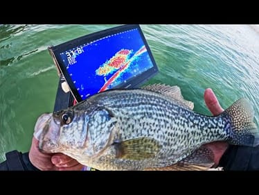 How To Make Finicky BIG CRAPPIE Commit to Your Jig! (Loaded Schools on Lake Guntersville)