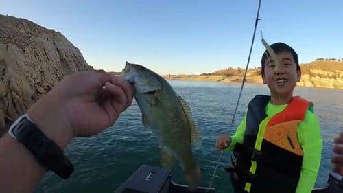 Finesse Swimbaits for Summertime Bass
