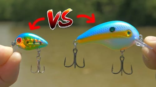 Micro Crankbait Vs Big Crankbait!!!
