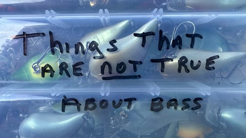 Common Beliefs About Bass That Are Completely False