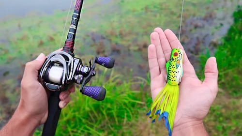 MASSIVE Bass CRUSHES Topwater FROG (20lb Bag Fishing)