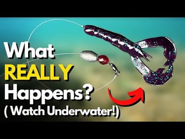 See What REALLY Happens With Carolina Rig Leader Length (2 Lures TESTED)