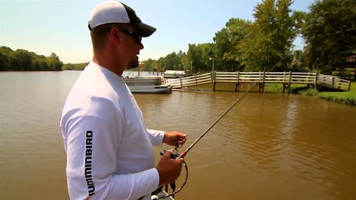 Understanding Crawfish Color Transitions in Bass Fishing