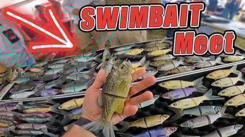 I Went To The BIGGEST Swimbait Meet In Texas!