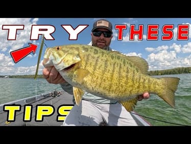 Dropshot Tricks For The Early Fall Transition! (On The Water)