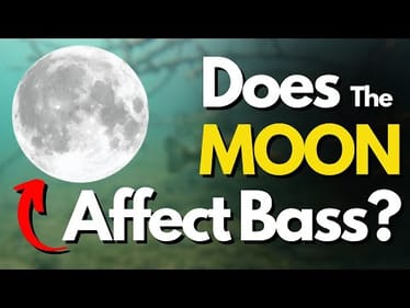 Does the Moon Affect Bass Fishing? (Things to Think About)